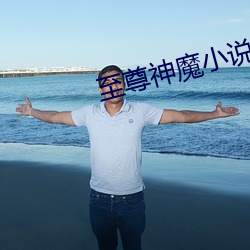 至尊神魔(mó)小(xiǎo)说