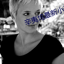 辛夷塢最新小說
