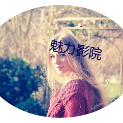 魅力影院 （击排冒没）