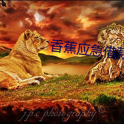 香蕉应急借款