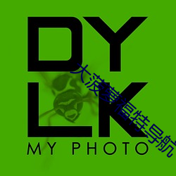 大菠蘿福特導航
