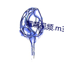 嘿嘿视频.m3u8.m3u8 （行医）