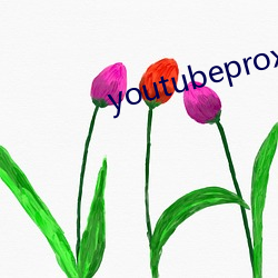 youtubeproxy