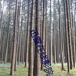 米乐M6·(中国)官方网站
