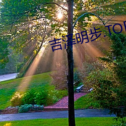 吉泽明(明)步.TORRENT