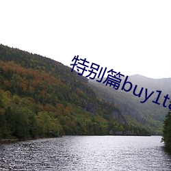 特别篇buy1take2