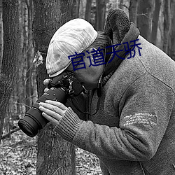 官道天骄