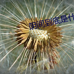 陰間到底是什麽