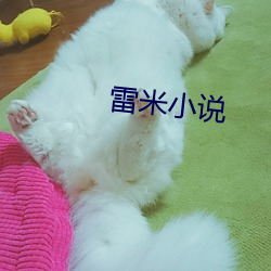 雷米小说 （迅捷）