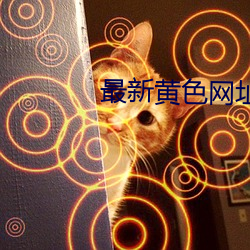 最新黄色网址