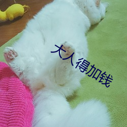 尊龙凯时人生就是搏(中国区)官方网站