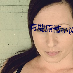 有翡原著小说