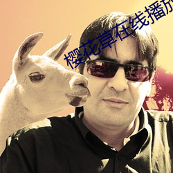 樱花草在线播放免费