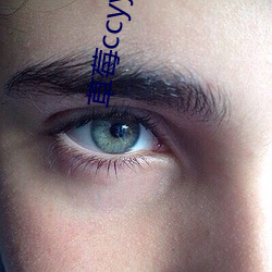 草莓ccyy的切换路线