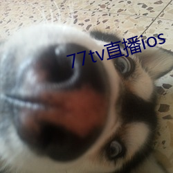 77tvֱios