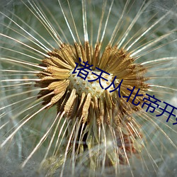 诸天从北(běi)帝开始