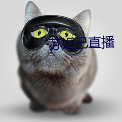 苏妲己直播