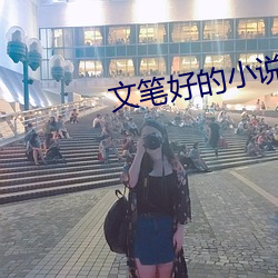 文笔好的小说
