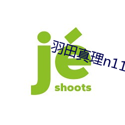 羽田真理n1170在线播放