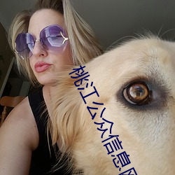 桃江公众信息网