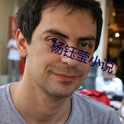 杨钰莹小说(shuō)