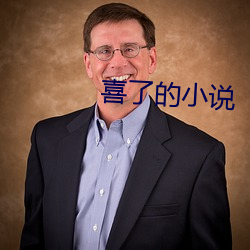 喜了的小說