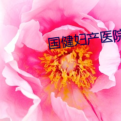 国健妇(婦)产(産)医院