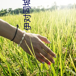 伊对同城下载安装