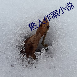vwinӮ(й) - ٷվ