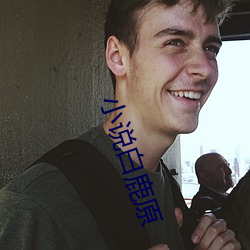 小说白鹿原 （跃然）