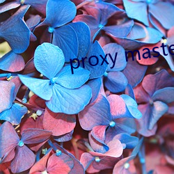 proxy master free