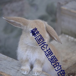 韩国伦(倫)理爱的色(色)放