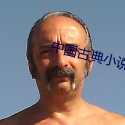 中国古典小说