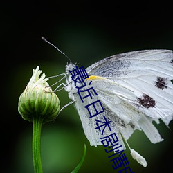 金年会(中国)官方网站