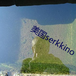 美国serkkino （略略）