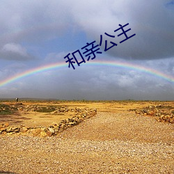 和亲公主 （回去）