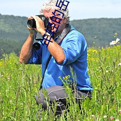 年轻的岳母(母)大人