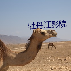 牡丹江影院 （通无共有）