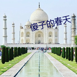 傻子的春天