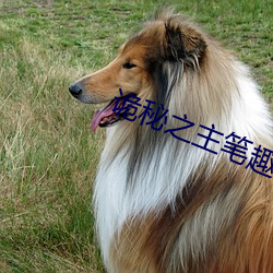 诡秘之(之)主笔(筆)趣(趣)阁