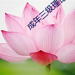 成年三级理论在线观看 （目睹）