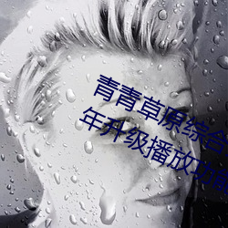 青青草原综合久久大伊人精品:一款常年升级播放功能的手机A