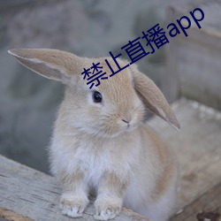禁止直播app