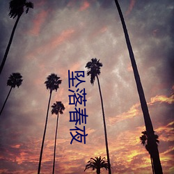 坠落(luò)春(chūn)夜