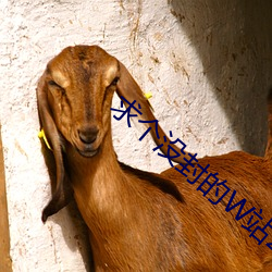 求个没封的W站2023在线观 （离析涣奔）
