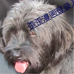 歪歪漫画登录入口 （全副）