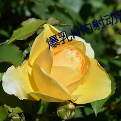 鸿运国际·(中国)会员登录入口