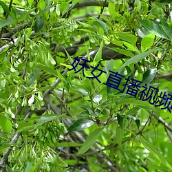 欧博abg - 官方网址登录入口