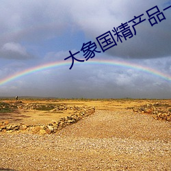 大象国(國)精(精)产品一二(二)二区视