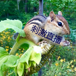 918博天堂·(中国)手机版客户端